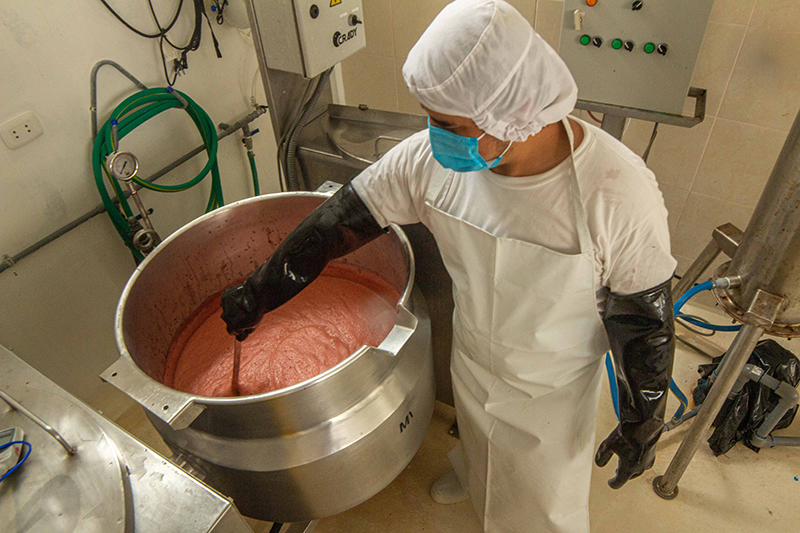 proyecto de innovacion agroindustrial