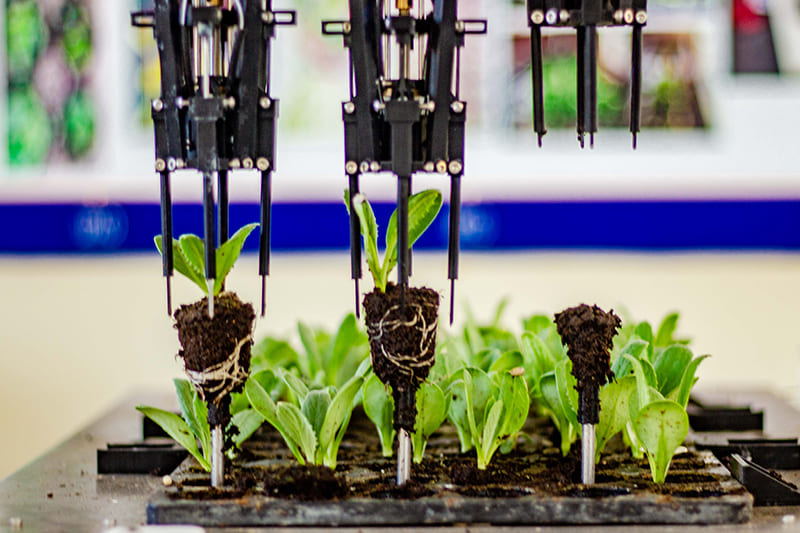 multigarra mecatrónica agroindustria